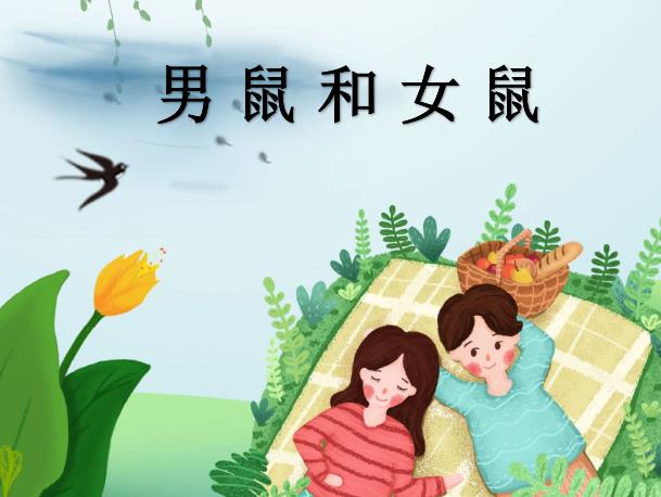 男鼠和女鼠配吗