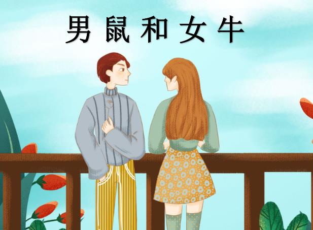 男鼠和女牛配吗