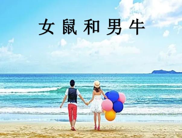女鼠和男牛配吗