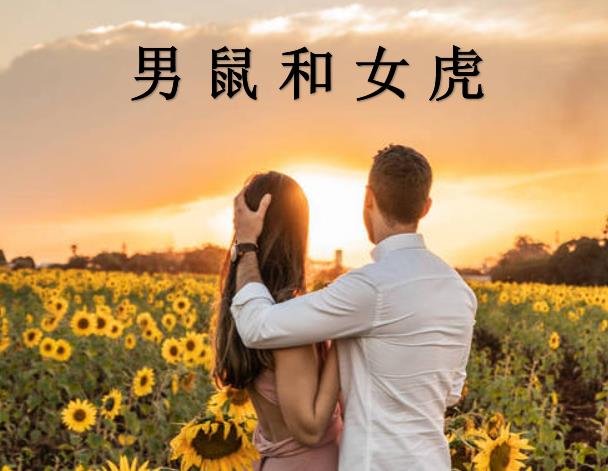男鼠和女虎配吗