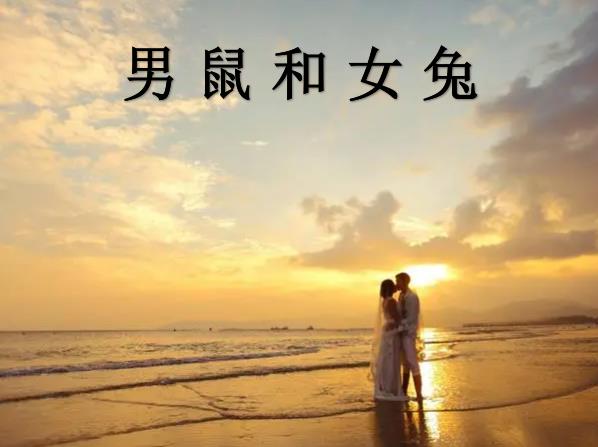 男鼠和女兔配吗
