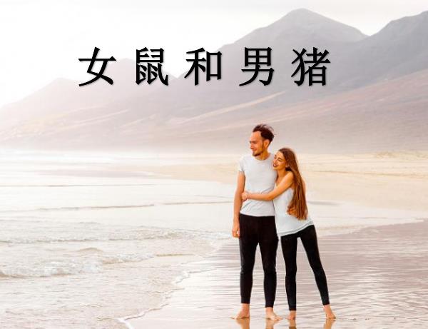 女鼠和男猪配吗