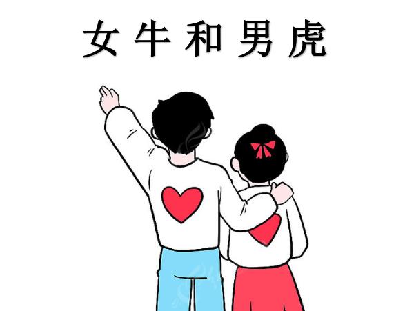 女牛和男虎配吗