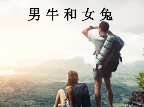 男牛和女兔配吗