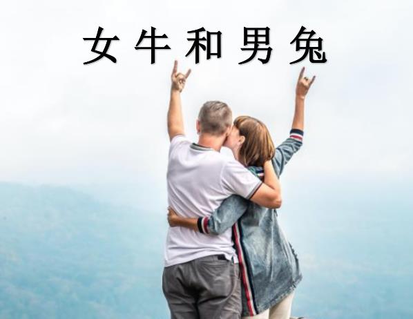女牛和男兔配吗