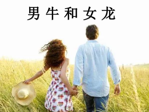 男牛和女龙配吗