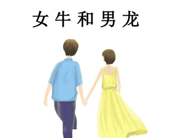 女牛和男龙配吗