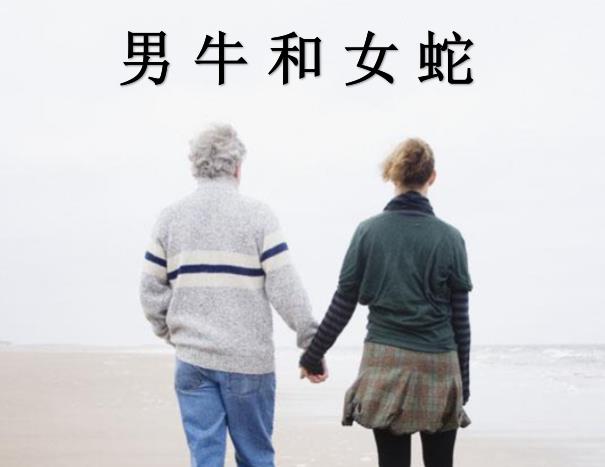 男牛和女蛇配吗
