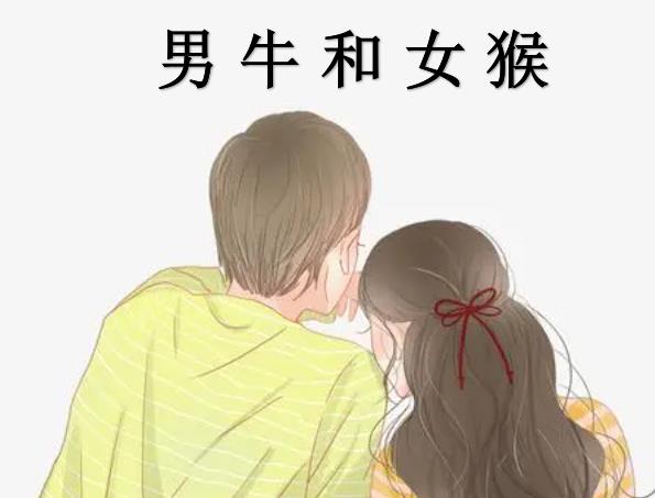 男牛和女猴配吗