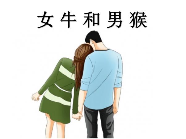 女牛和男猴配吗