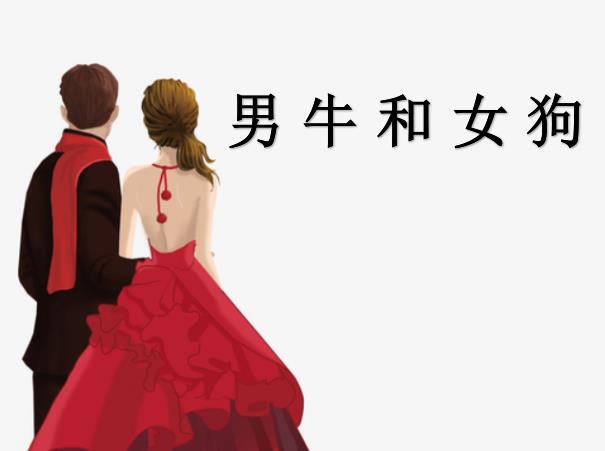 男牛和女狗配吗