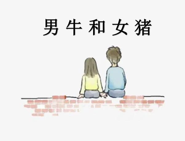 男牛和女猪配吗