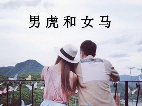男虎和女马配吗