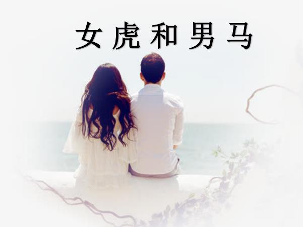女虎和男马配吗