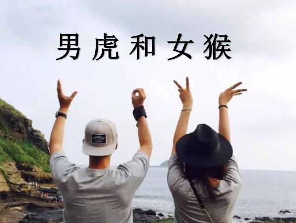 男虎和女猴配吗