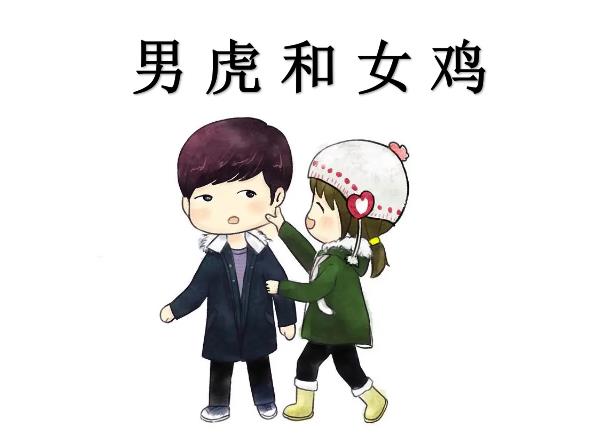 男虎和女鸡配吗
