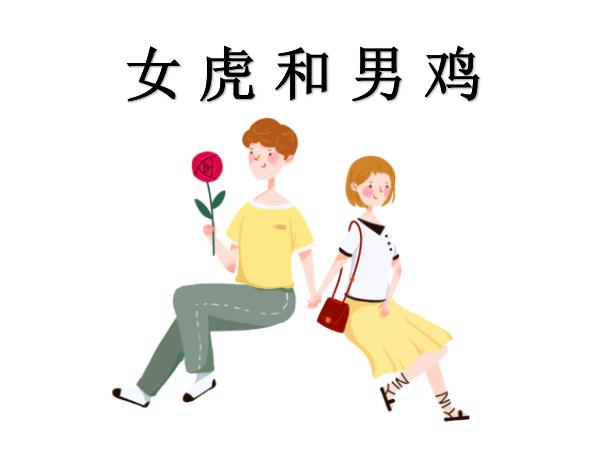 女虎和男鸡配吗