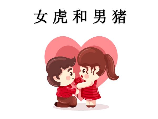女虎和男猪配吗