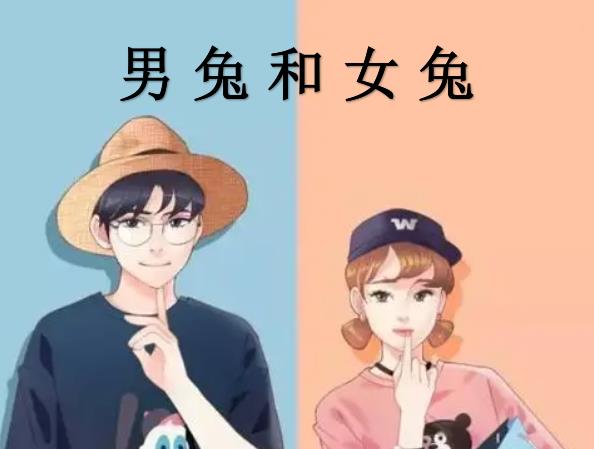 男兔和女兔配吗