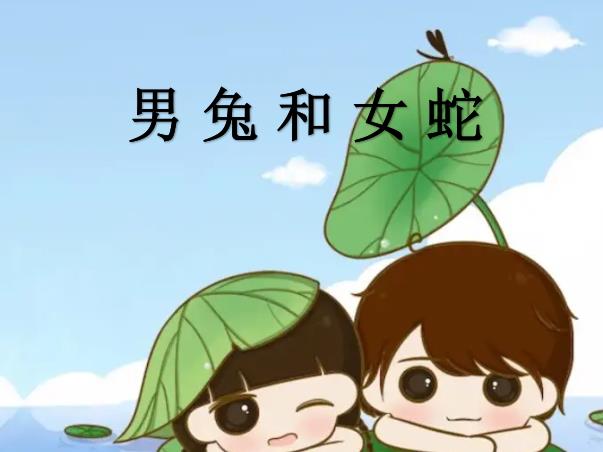 男兔和女蛇配吗