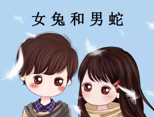 女兔和男蛇配吗
