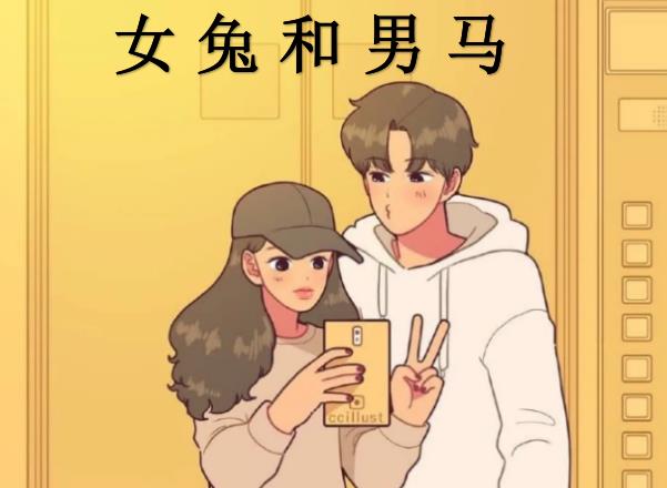 女兔和男马配吗