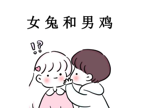 女兔和男鸡配吗
