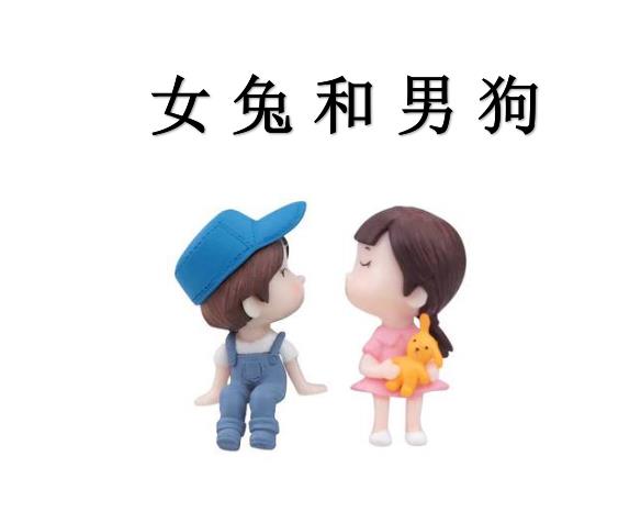 女兔和男狗配吗