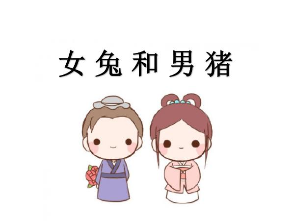 女兔和男猪配吗