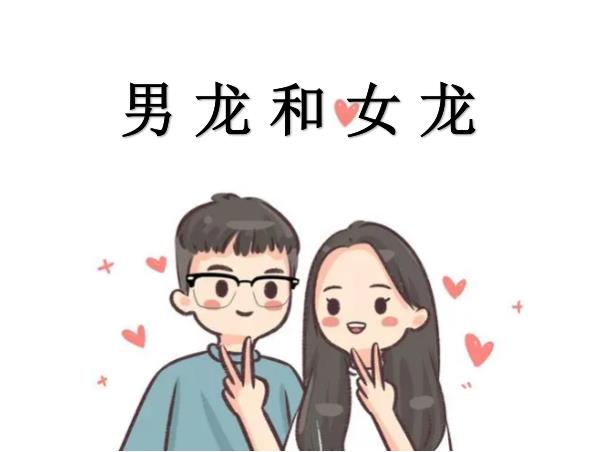 男龙和女龙配吗