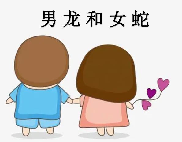 男龙和女蛇配吗