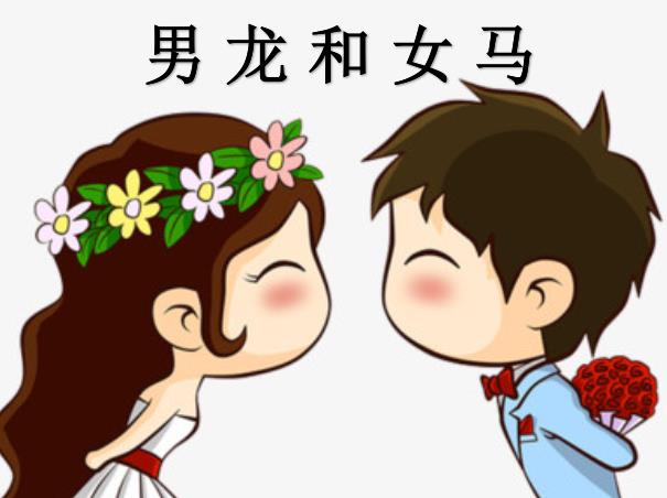 男龙和女马配吗
