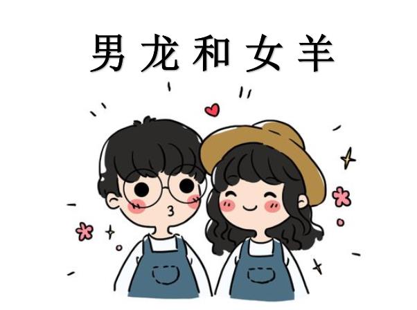 男龙和女羊配吗