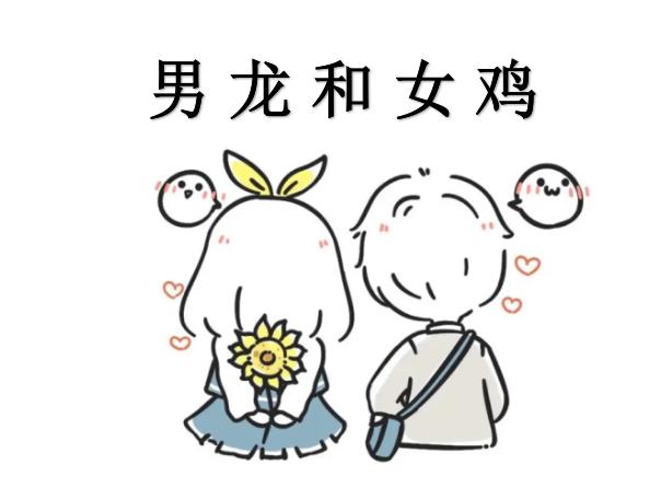 男龙和女鸡配吗
