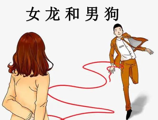 女龙和男狗配吗