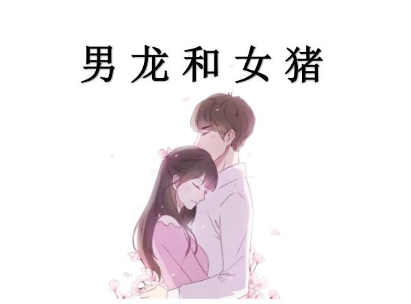 男龙和女猪配吗