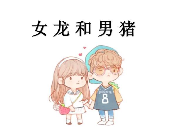 女龙和男猪配吗