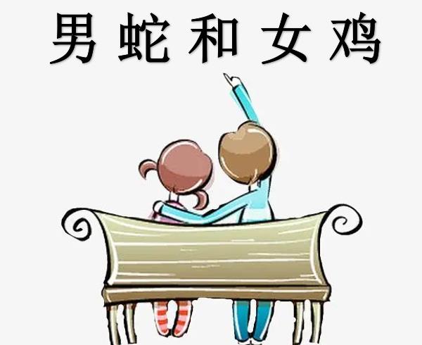 男蛇和女鸡配吗