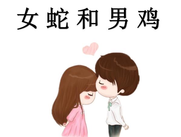 女蛇和男鸡配吗