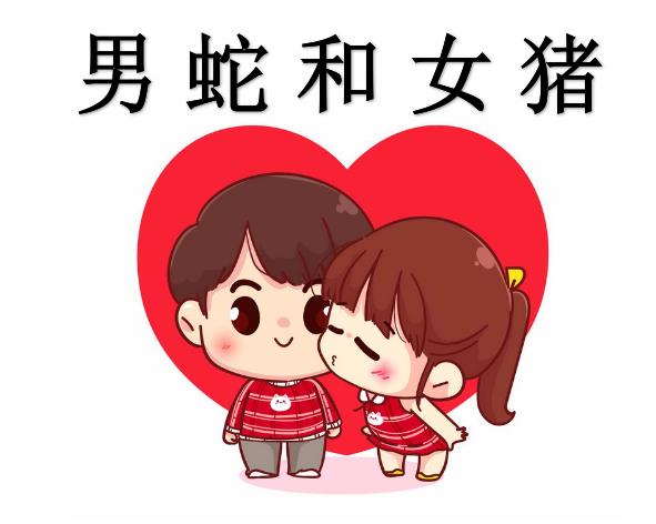 男蛇和女猪配吗