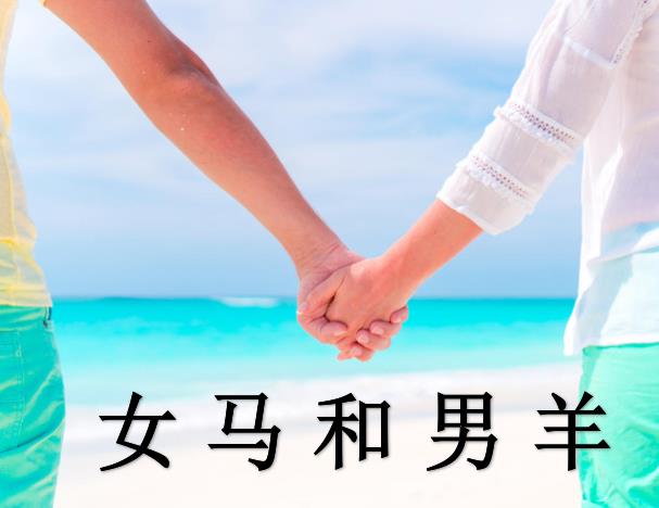 女马和男羊配吗