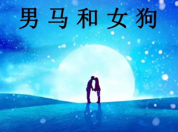 男马和女狗配吗
