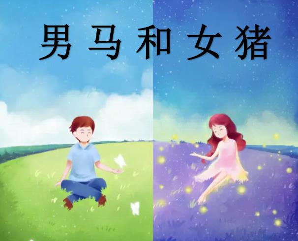 男马和女猪配吗