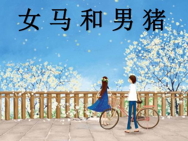 女马和男猪配吗