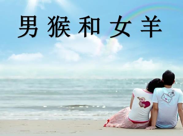 男猴和女羊配吗
