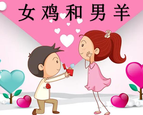 女鸡和男羊配吗