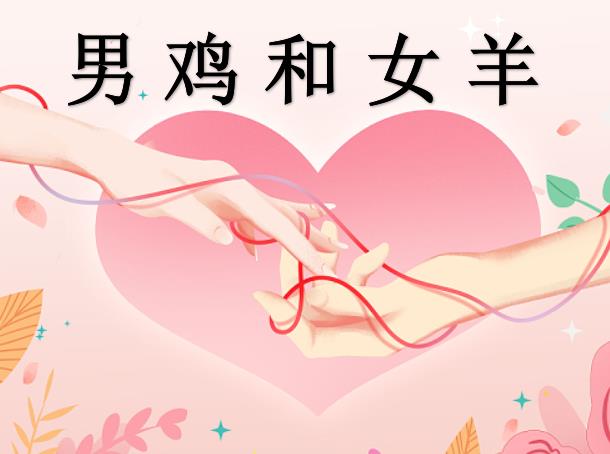 男鸡和女羊配吗