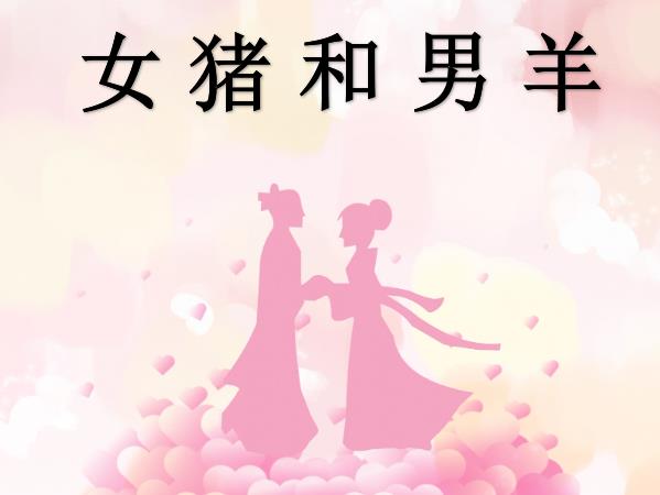 女猪和男羊配吗