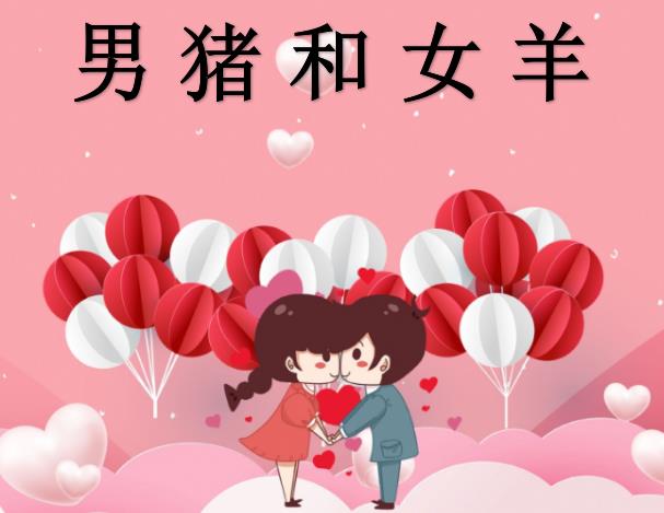 男猪和女羊配吗