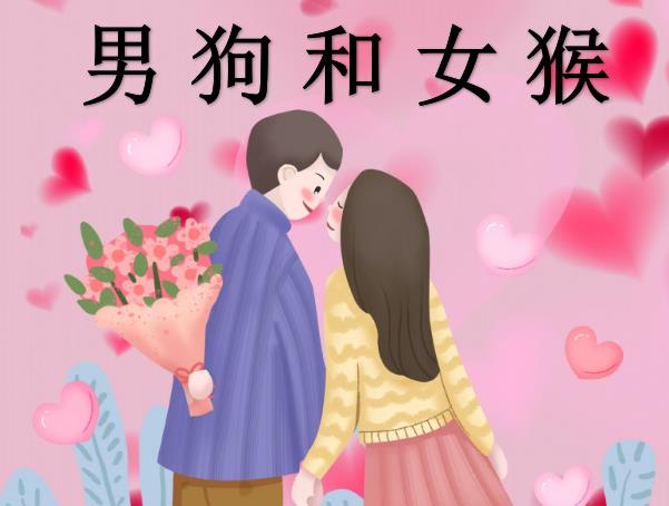 男狗和女猴配吗